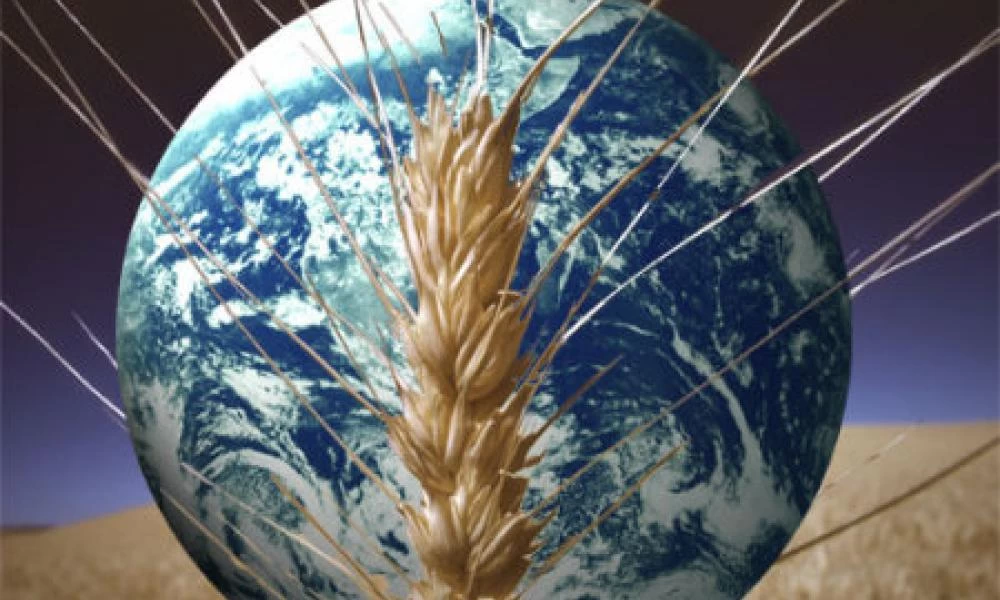 FAO: Αυξήθηκαν τον Ιανουάριο οι παγκόσμιες τιμές τροφίμων